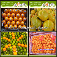 Name all citrus fruits/mandarin orange/fresh orange/list of yellow fruits